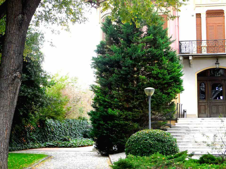 walking tours